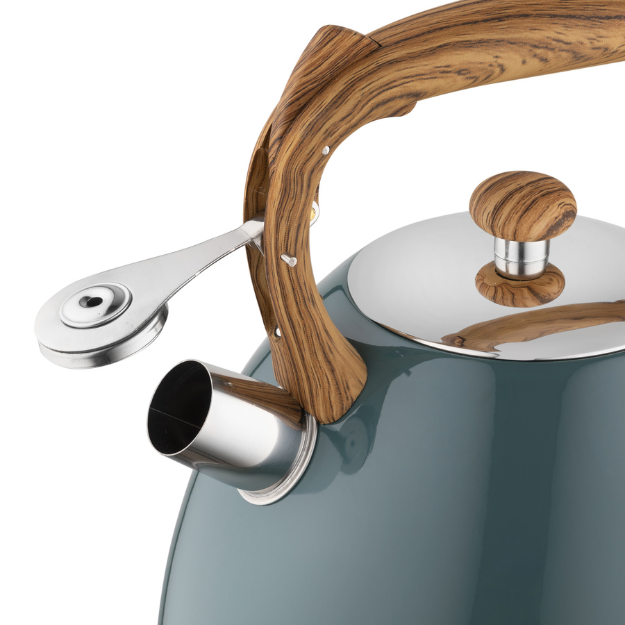 Czajnik nierdzewny Frank 2,5 l, ciemnozielony