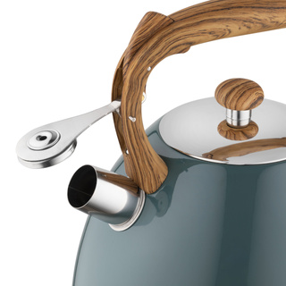 Czajnik nierdzewny Frank 2,5 l, ciemnozielony