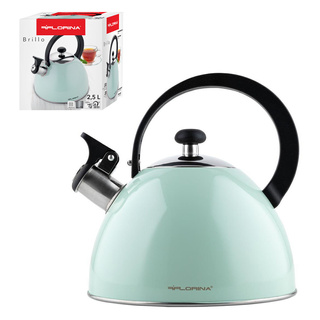 Czajnik ze stali nierdzewnej Florina Brillo miętowy 2,5l