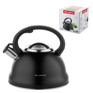 Czajnik nierdzewny Florina Jacob 2,5 l czarny