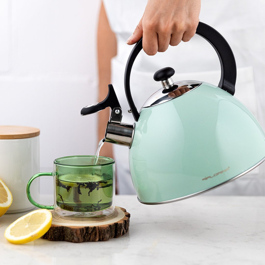 Czajnik ze stali nierdzewnej Florina Brillo miętowy 2,5l