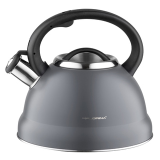 Czajnik nierdzewny Florina Jacob 2,5 l szary