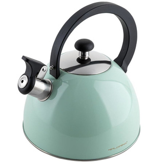 Czajnik ze stali nierdzewnej Florina Brillo miętowy 2,5l