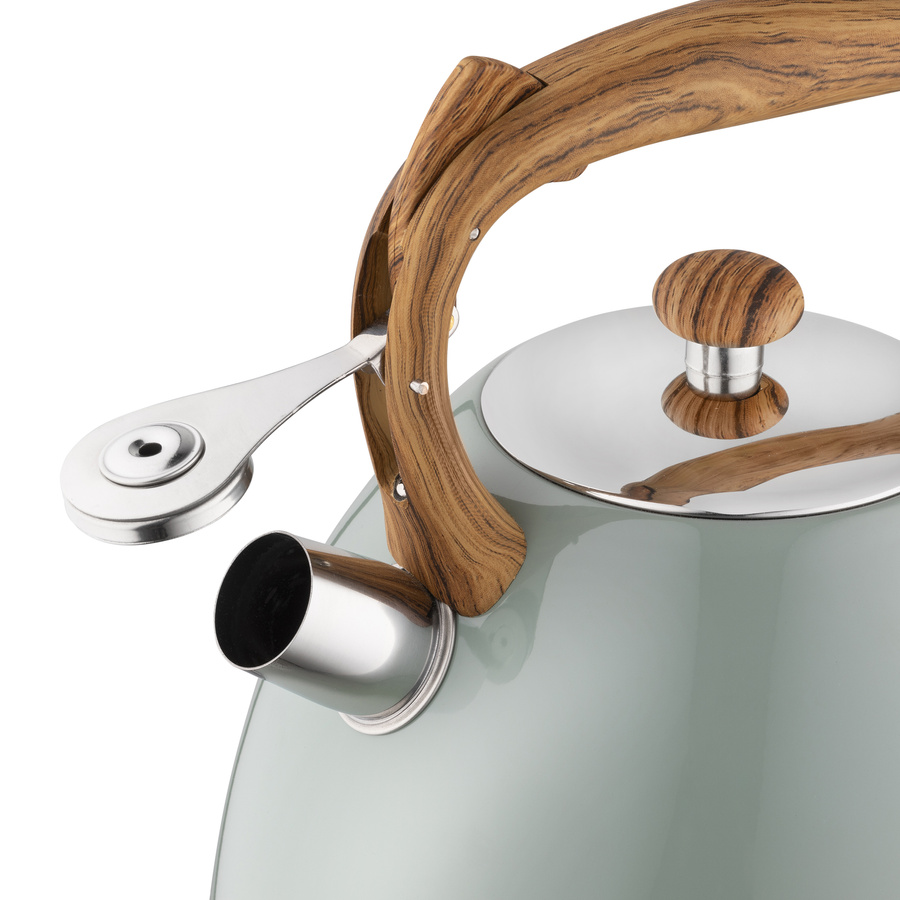 Czajnik nierdzewny Frank 2,5 l, zielony