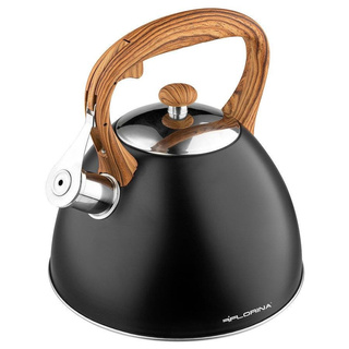 Czajnik nierdzewny Florina Frank 2,5 l czarny