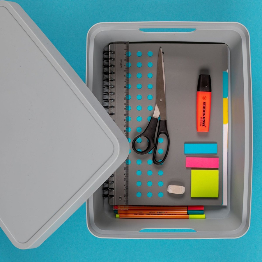 Pojemnik z pokrywą Praktyczna 11 l beżowy