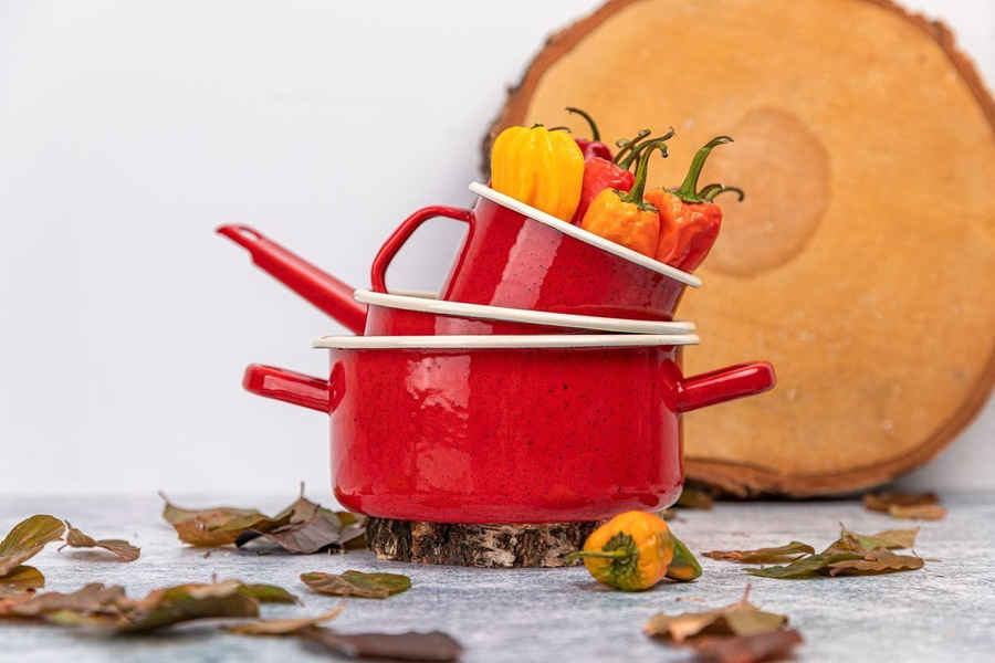 Garnek emaliowany Emalia Polska Pleszew Forte czerwony 25cm 10l