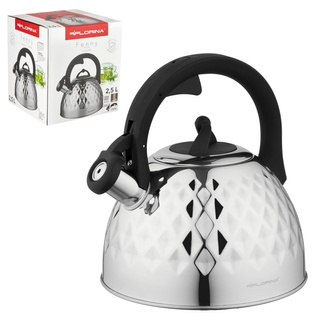 Czajnik ze stali nierdzewnej na indukcję i gaz Florina Fenny Mirror 2,5 l