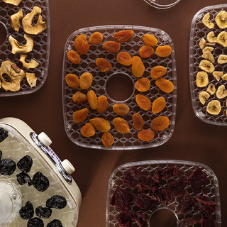 Suszarka spożywcza do grzybów, owoców i warzyw Botti Electronic Dante kwadratowa 250 W