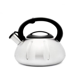 Czajnik nierdzewny Florina George linie 2,6 l