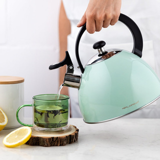 Czajnik ze stali nierdzewnej Florina Brillo miętowy 2,5l