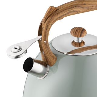 Czajnik nierdzewny Frank 2,5 l, zielony