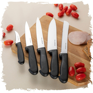 KOMPLET NOŻY ANTON FLORINA 5 SZTUK