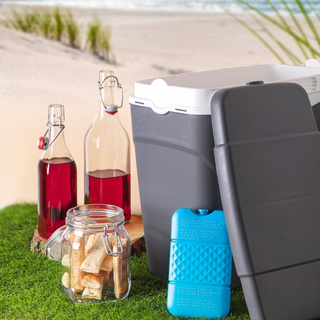 Chłodziarka lodówka turystyczna Praktyczna 24 l szara