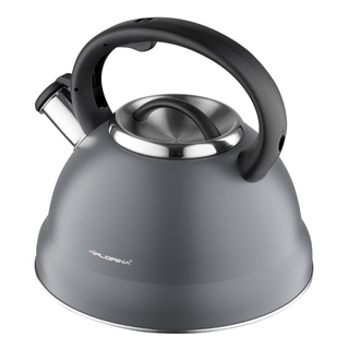 Czajnik nierdzewny Florina Jacob 2,5 l szary