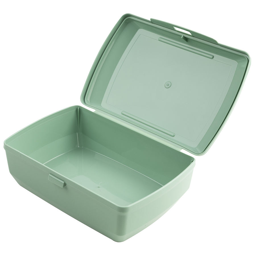 Pojemnik śniadaniowy / śniadaniówka Praktyczna Forever Young Rybki 1,3 l zielony