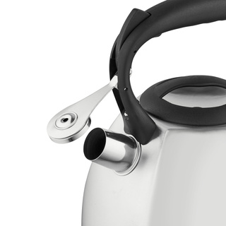 Czajnik nierdzewny na indukcję i gaz Florina Dakota 2,5 l