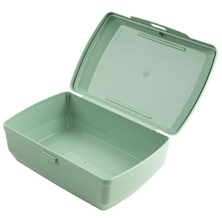 Pojemnik śniadaniowy / śniadaniówka Praktyczna Forever Young Rybki 1,3 l zielony 