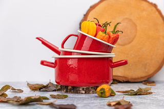 Garnek emaliowany Emalia Polska Pleszew Forte czerwony 25cm 10l