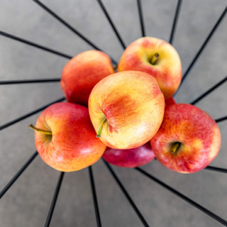 Kosz na owoce druciany Florina Meseta