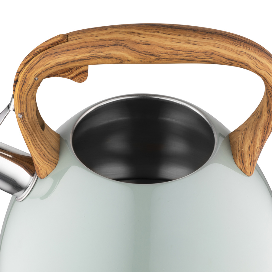 Czajnik nierdzewny Frank 2,5 l, zielony