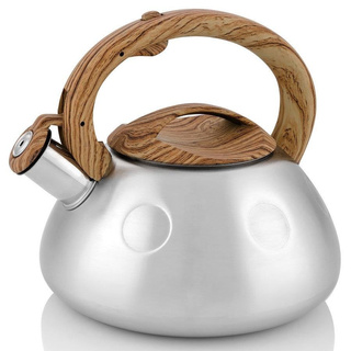 Czajnik nierdzewny Florina George koła 2,6 l