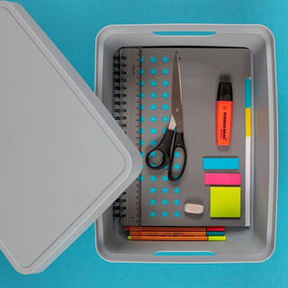 Pojemnik z pokrywą Praktyczna 11 l beżowy