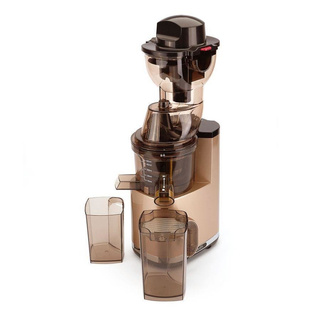 Wyciskarka wolnoobrotowa Botti Healthy Line 250 W