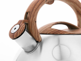 Czajnik nierdzewny Florina George koła 2,6 l