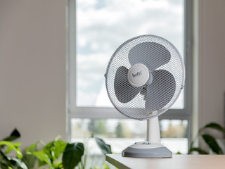 Wentylator stołowy Botti Electronic Borrad 30 cm 40W