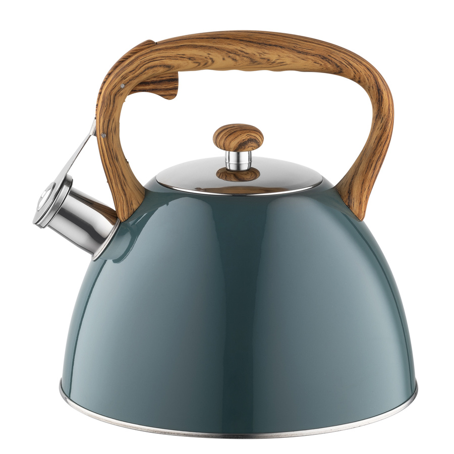 Czajnik nierdzewny Frank 2,5 l, ciemnozielony