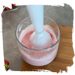 Blender ręczny Botti Vendi czarny