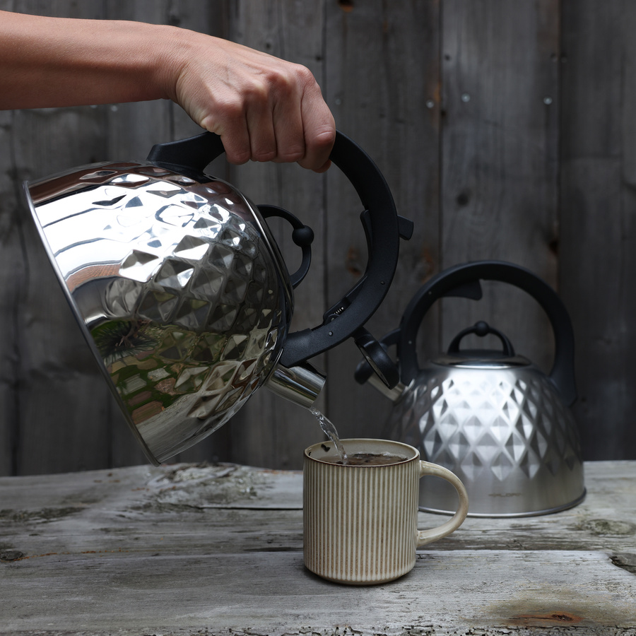 Czajnik ze stali nierdzewnej na indukcję i gaz Florina Fenny Mirror 2,5 l