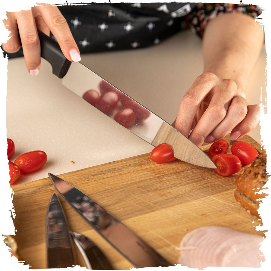 KOMPLET NOŻY ANTON FLORINA 5 SZTUK