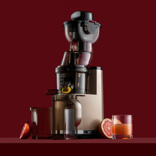 Wyciskarka wolnoobrotowa Botti Healthy Line 250 W