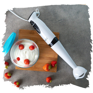 Blender ręczny Botti Vendi czarny