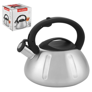 Czajnik nierdzewny Florina George linie 2,6 l