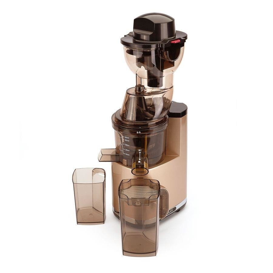 Wyciskarka wolnoobrotowa Botti Healthy Line 250 W