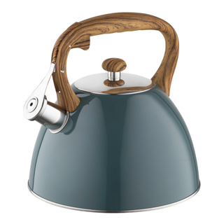 Czajnik nierdzewny Frank 2,5 l, ciemnozielony