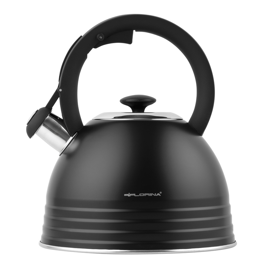 Czajnik nierdzewny Terrano 2,5 l