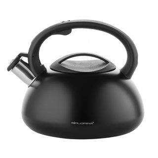 Czajnik nierdzewny Florina Luke 2,5 l czarny