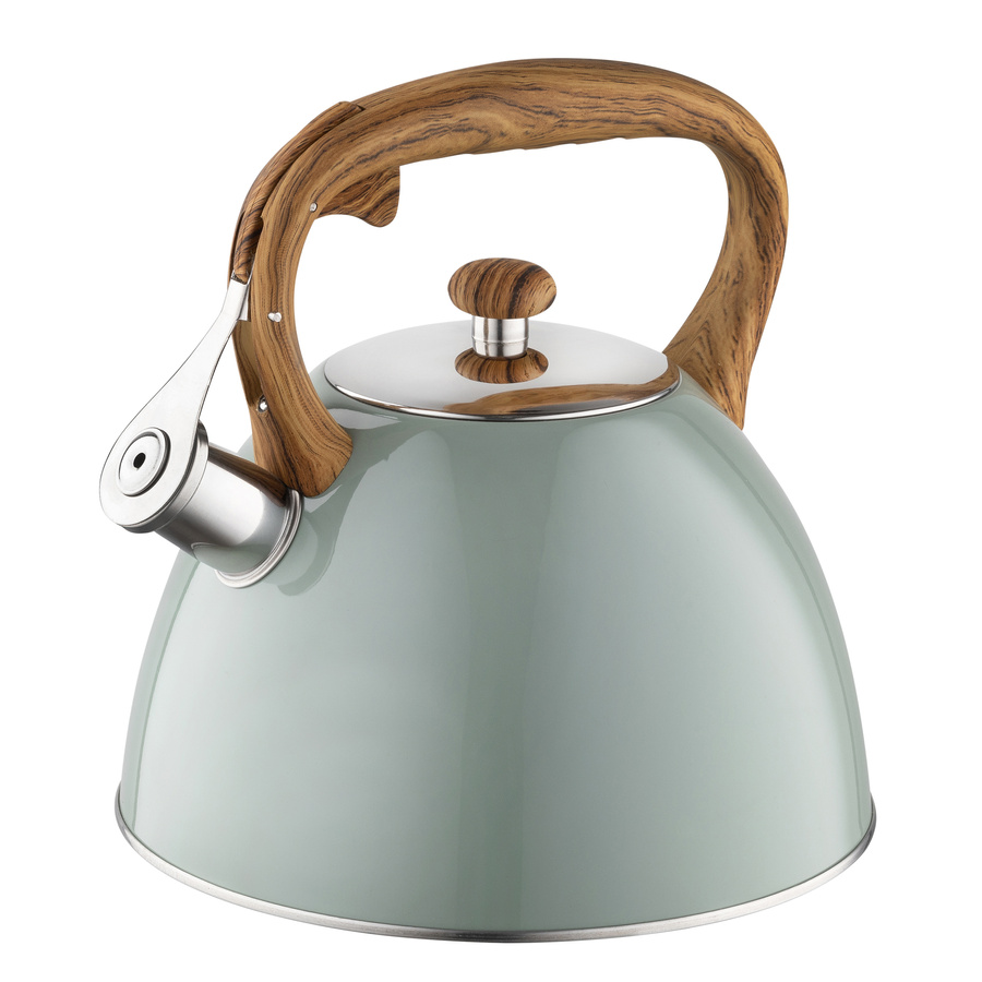 Czajnik nierdzewny Frank 2,5 l, zielony