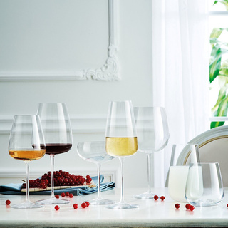 Komplet kieliszków do wina białego Luigi Bormioli Talismano 450 ml 4 sztuki