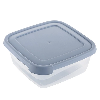 Pojemnik do żywności Praktyczna 250 ml