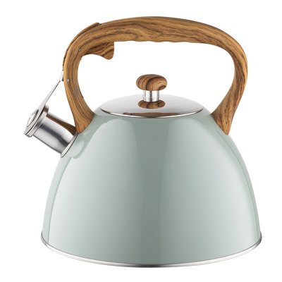 Czajnik nierdzewny Frank 2,5 l, zielony