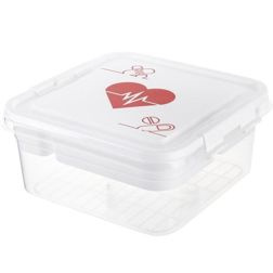 Organizer pojemnik na leki Praktyczna 25 x 26 x 11 cm