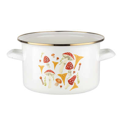 Garnek emaliowany Emalia Polska Pleszew Grzybki 22 cm 4,8 l