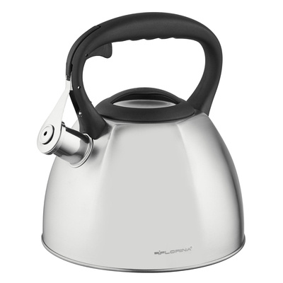 Czajnik nierdzewny na indukcję i gaz Florina Dakota 2,5 l