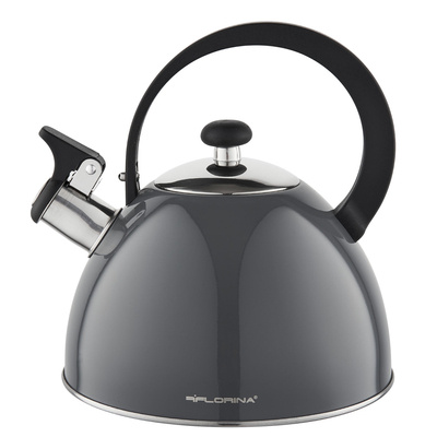 Czajnik ze stali nierdzewnej Florina Brillo ciemnoszary 2,5 l