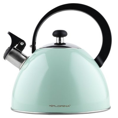 Czajnik ze stali nierdzewnej Florina Brillo miętowy 2,5l